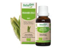 Herbalgem Frambueso